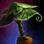 Potted Broad Paddlefrond.png