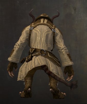 Back view