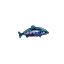 Fish 5.png