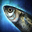 Sardine.png