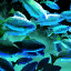 Underwater Tranquil Fish.png