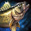 Walleye.png