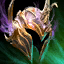 Etherbound Helm.png