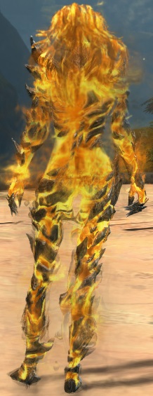 File:Igneous Regalia Outfit norn female back.jpg