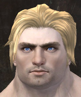 File:Unique norn male hair front 9.jpg