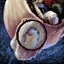 Sturdy Tailor's Backpack.png