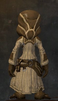 File:Traveler's Outfit asura male back.jpg