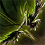 Zhaitan's Wing.png
