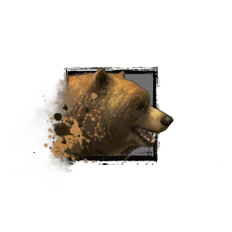 Juvenile Brown Bear.png
