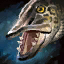 Muskellunge.png