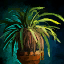 Potted Junglerice.png