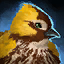 Striped Cuckoo.png