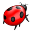 User Lasha Bug.png