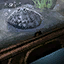 Orrian Oyster Node.png