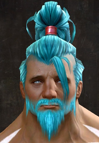File:Unique norn male hair front 13.jpg