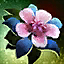 Flower Eyepatch.png