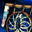 Wind Catcher.png
