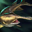 Paddlefish.png