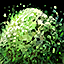 Green Wood Pulp.png