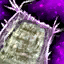 Recipe sheet ascended bag.png