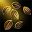 Varietal Cilantro Seed.png