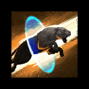 Pounce