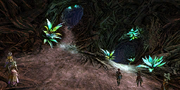 Backroot Fountain.png