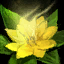 Nrocroc Pressed Prickleberry Friendship Flower.png