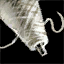 Spool of Wool Thread.png