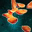 Ghost Pepper Seeds.png