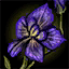 Shing Jea Orchid Petal.png