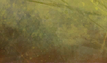 User Jyavoc Traits r line1 section2.png
