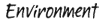 User Alfa-R MainPage Environment.png