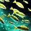 Underwater Meandering Fish.png