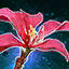 Terebinth Flower.png