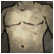 Chestwear