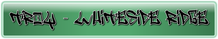 User Nemis troy Logo.png
