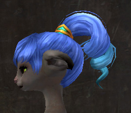File:Exclusive hair - asura female 13 side.jpg