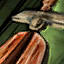 Toy Wooden Sword.png