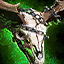 Prize of the Boneskinner.png