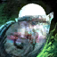 Cooguloosh.png