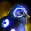 Lucent Cuckoo.png