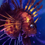 Scorpion Fish.png