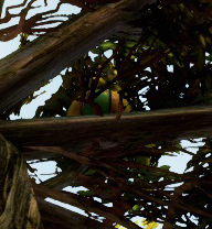 Stuck Ball.jpg