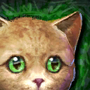 Mini Orange Kitten.png