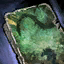 Lesson- The Way of the Jungle.png