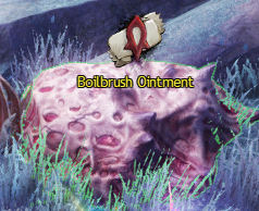 Boilbrush Ointment.jpg