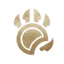 Official icon