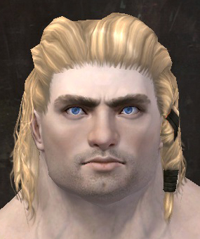 File:Unique norn male hair front 7.jpg