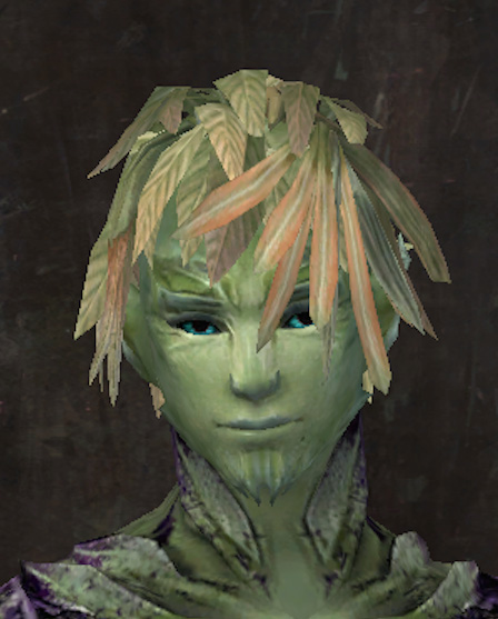 File:Exclusive hair - sylvari male 15.jpg